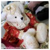 tag along teddies bear