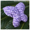 butterfly sewing 2