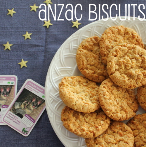 possum morning tea anzac biscuits
