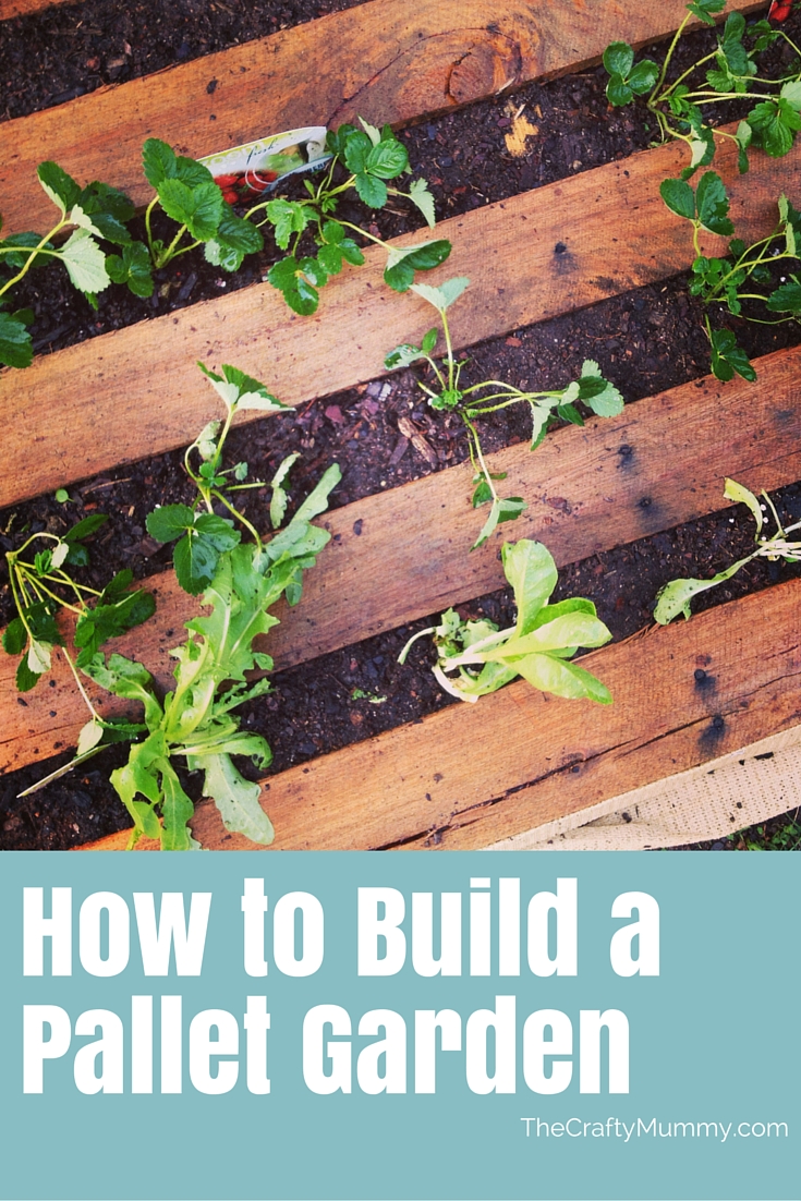 How to Build a Pallet Garden