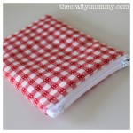 coin purse red gingham