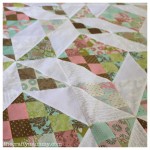 Tula Pink quilt top jelly roll