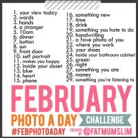 feb photoaday fat mum slim