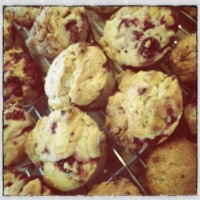 raspberry white choc chip muffin