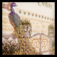 cross stitch peacock wedding