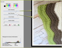 how to add border picasa