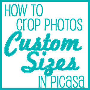 picasa crop custom aspect ratio size