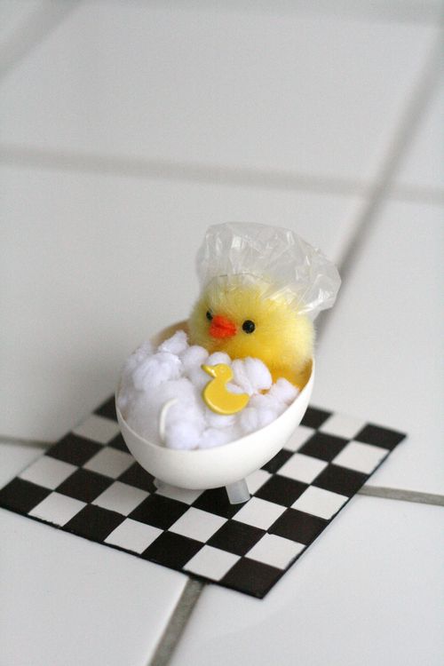 chick in egg bath