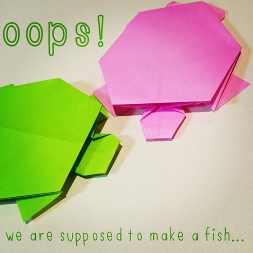 origami turtles