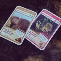 woolworths aussie animals cards