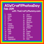 ASWCraftPhotoaDay Feb 2014