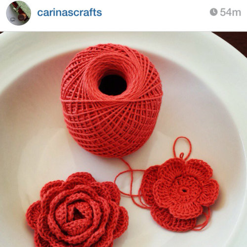 instagram carinas crafts